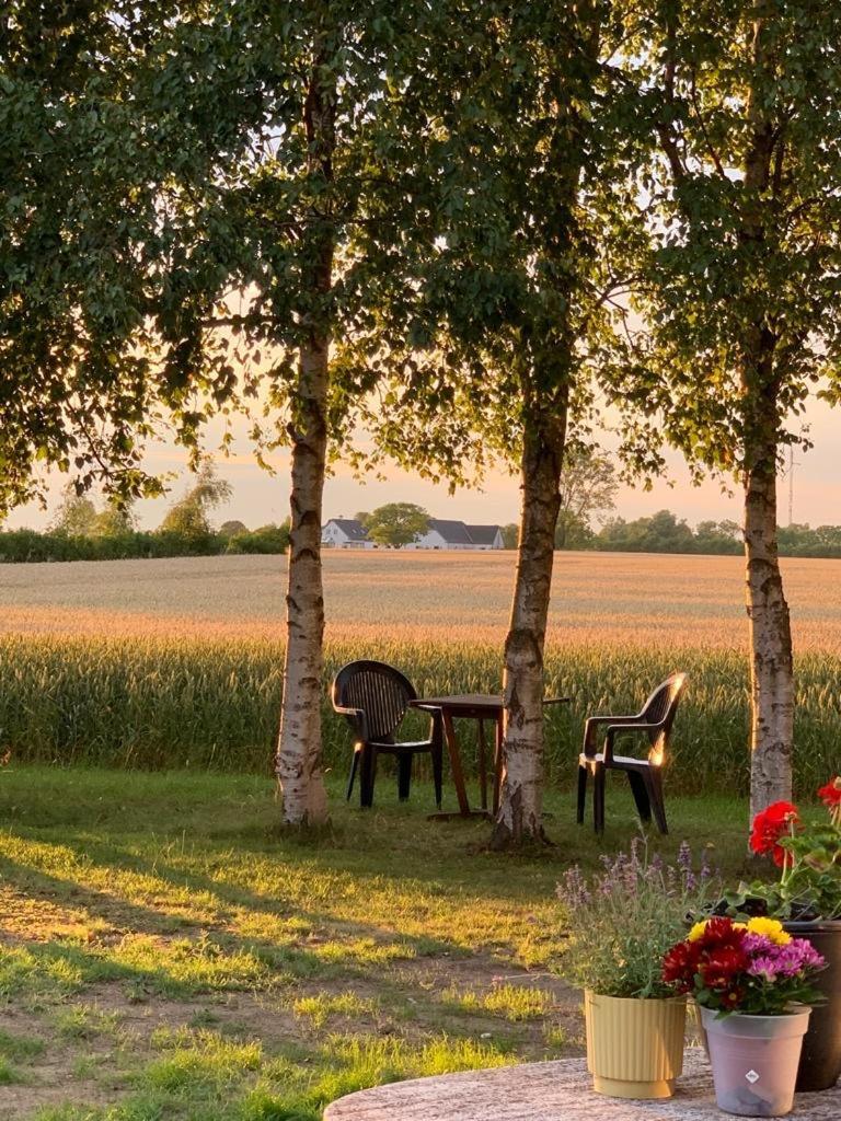 Romantic Luxus Glamping 1 Idestrup Exterior photo